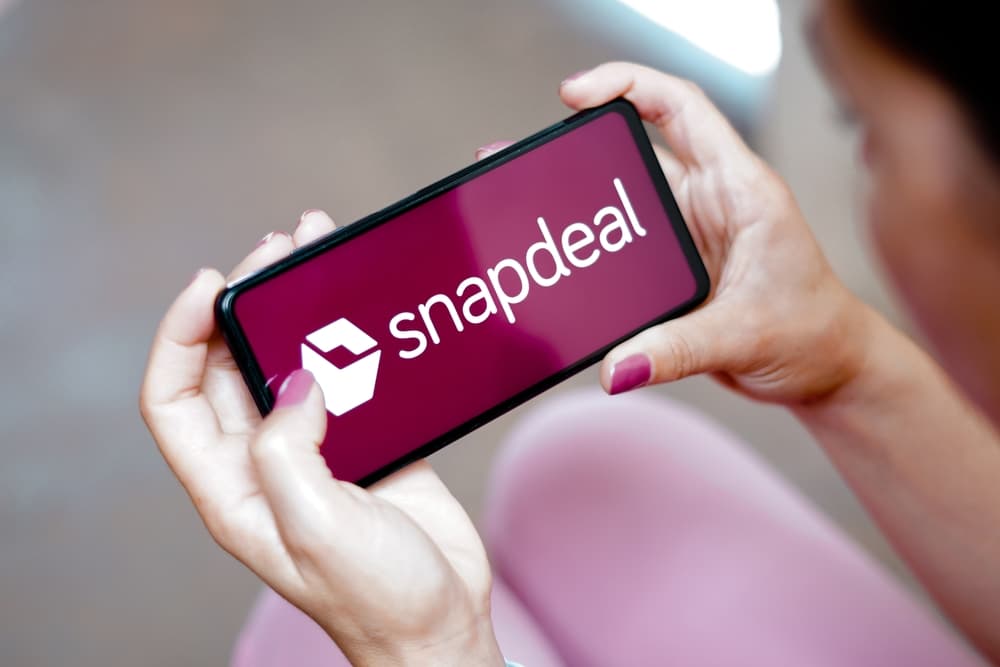 Acevector IPO: Snapdeal's parent is going public