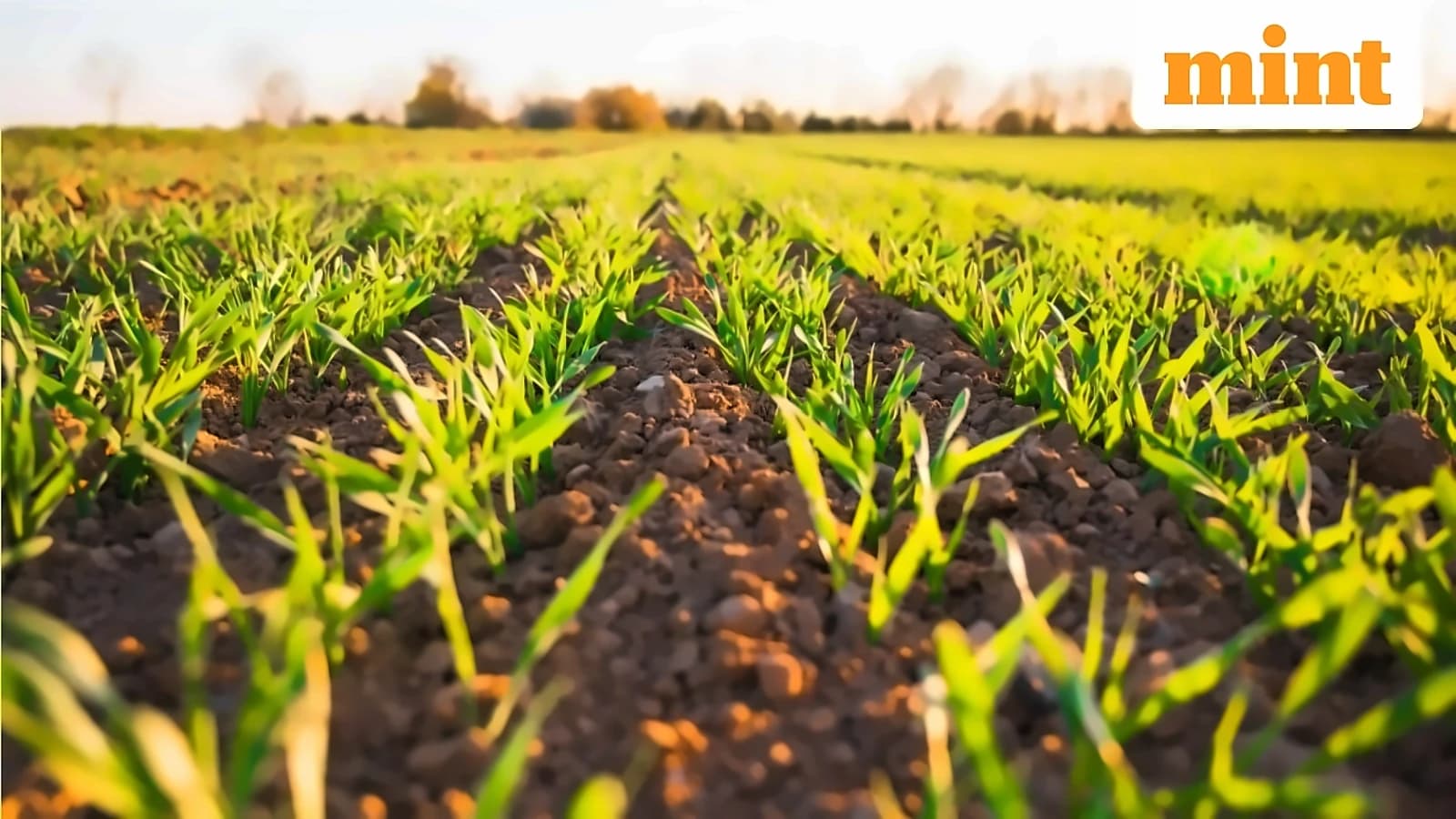 Agricultural land sale tax exemption rules explained