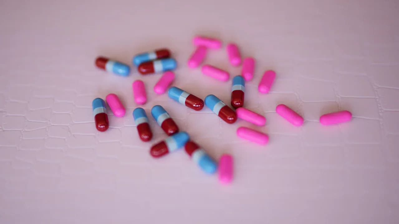 Alembic Pharma Q1 profit jumps 12% to ₹175.33 crore, raises US growth outlook