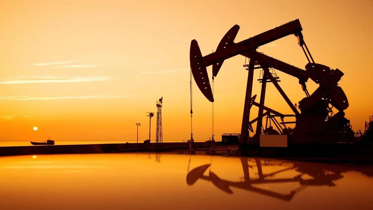 Asian Energy Services hits ₹253.7 high on Gujarat oil discovery