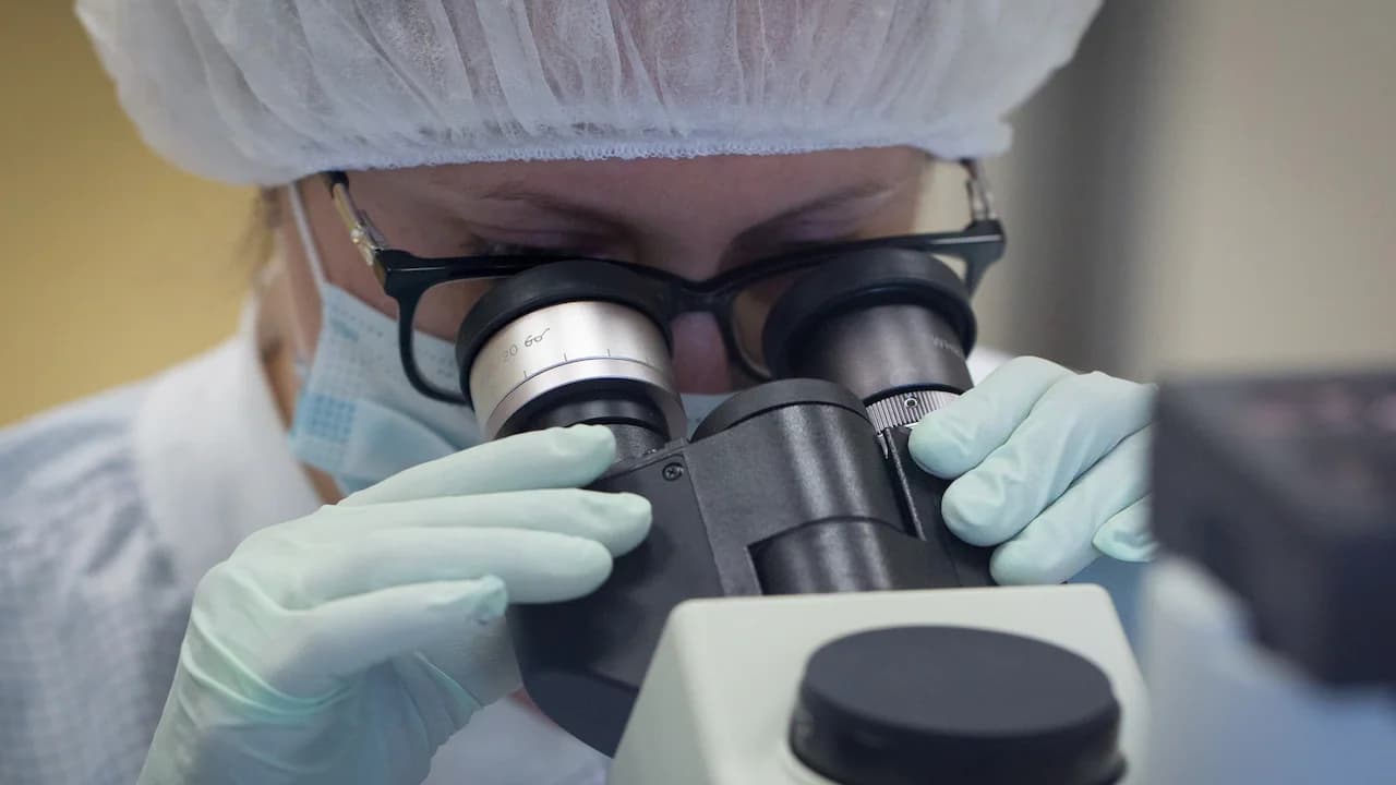 Bambusa Therapeutics Files IPO for Eczema Drug Trials