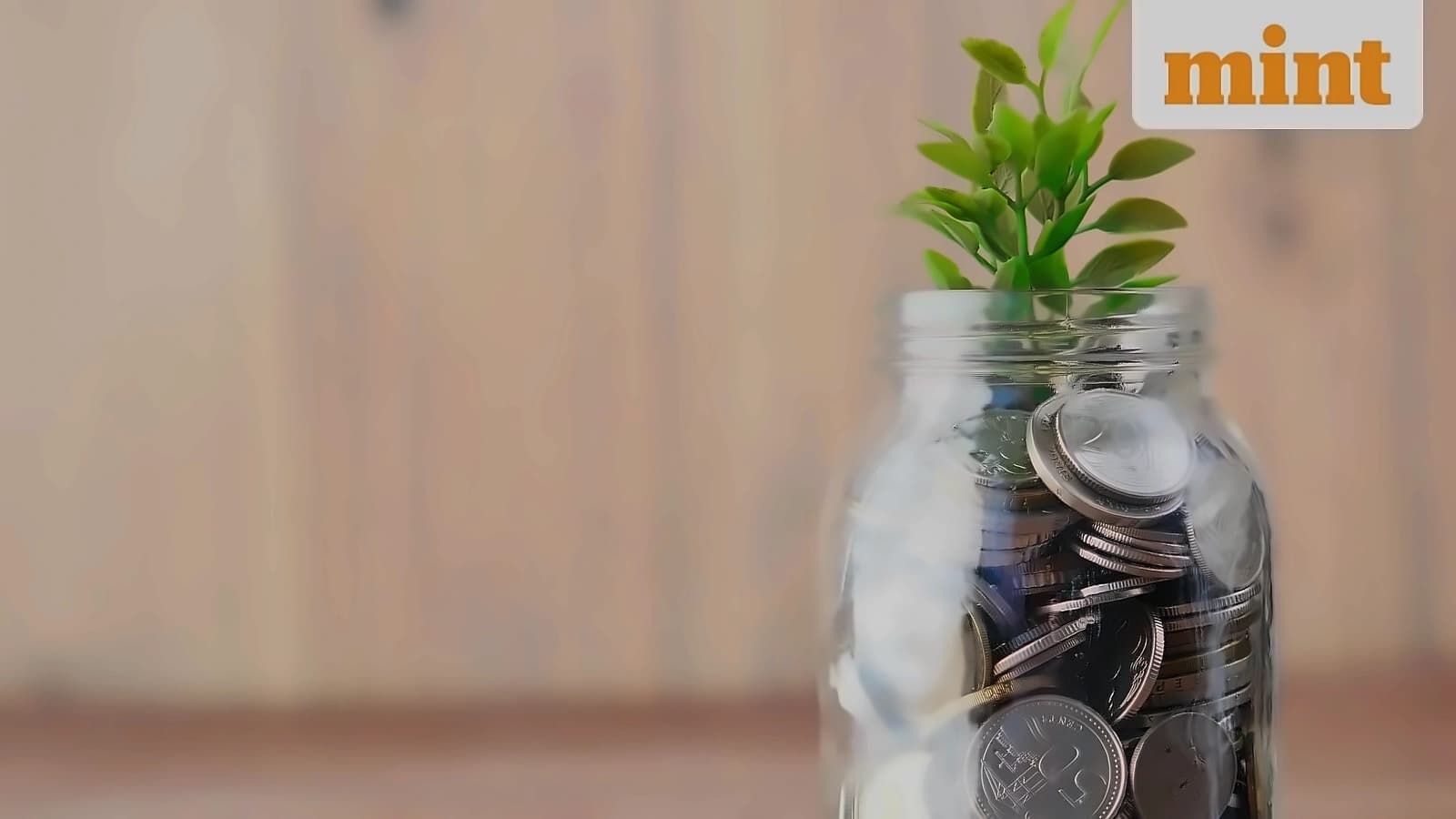 Bandhan Small Cap Fund adds 15 stocks, exits 9 in July