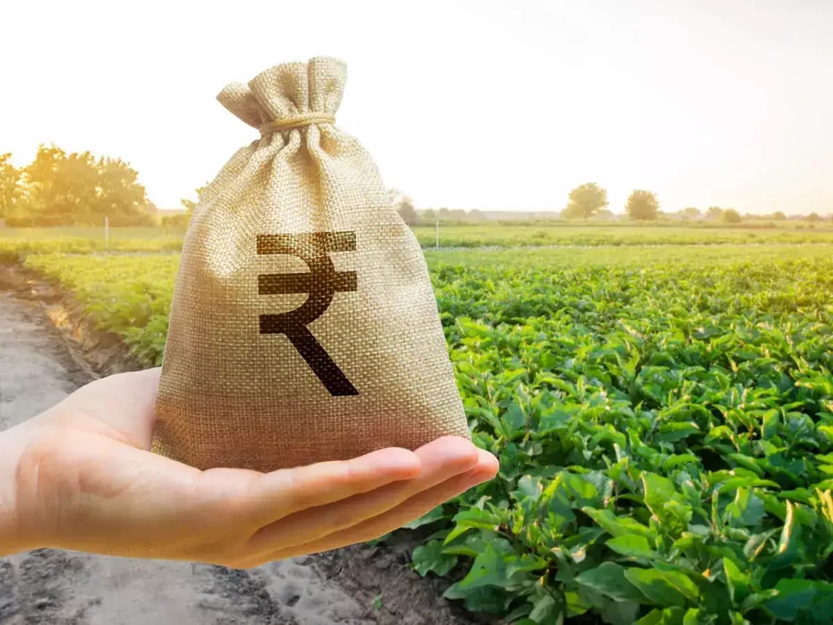 Banks Push for More Talks on ECL Norms for Crop Loans