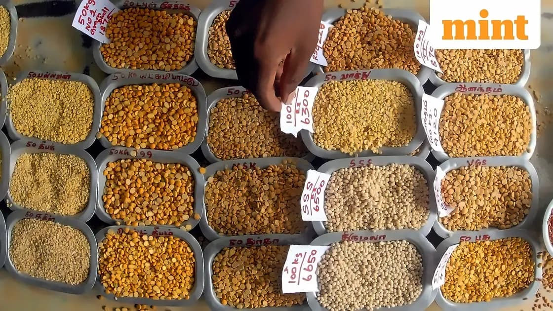 Bihar joins Centre's direct pulse procurement network