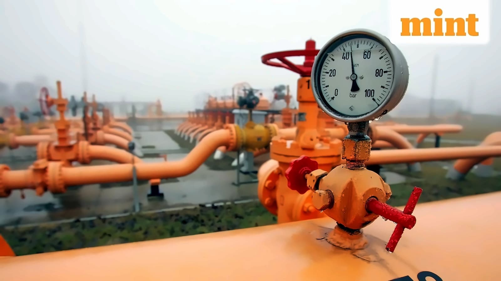 Centre Plans Global Gas Pipeline Coating Standard