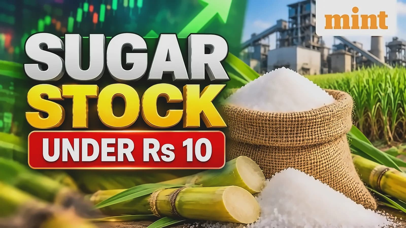 Davangere Sugar jumps 6% on ethanol blending optimism