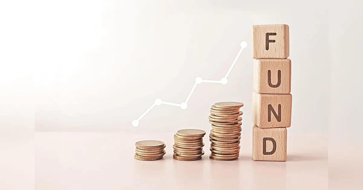 DSP Large & Mid Cap Fund Review: Performance Analysis