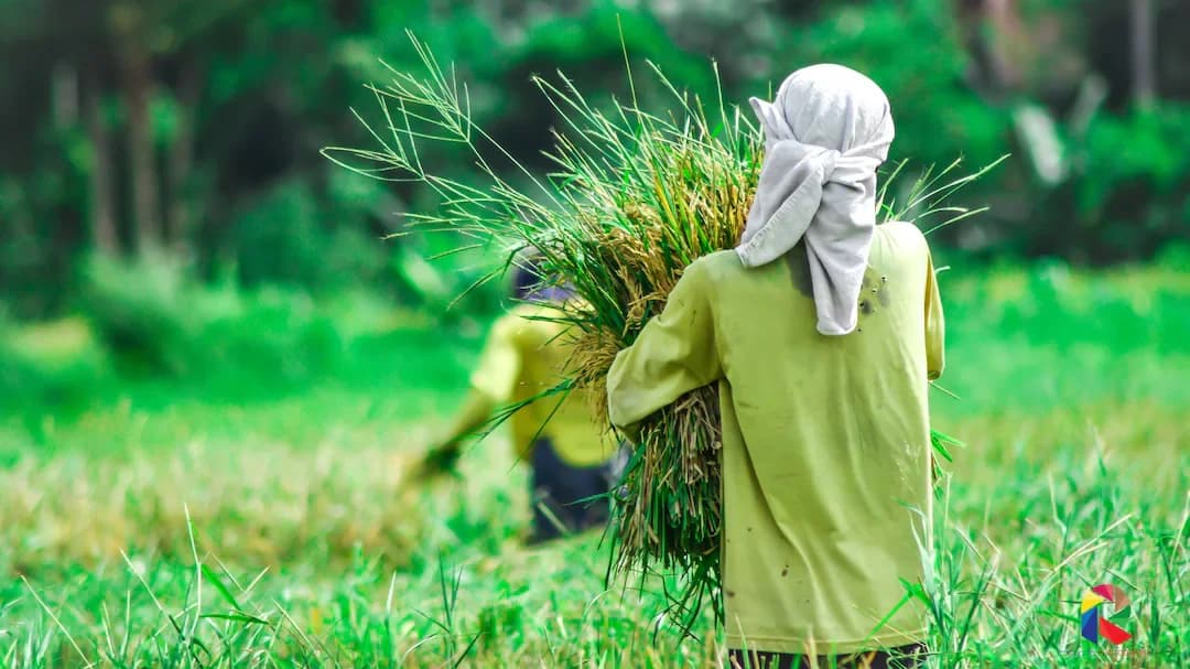 Fadnavis Confirms Farm Loan Waiver Before June 30, 2026