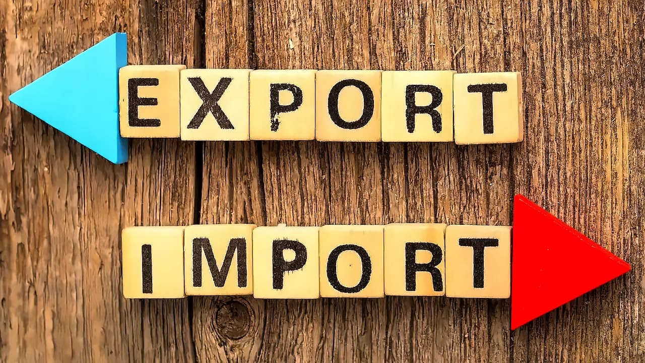 India-Japan Trade Pact Review: Goyal Seeks Basmati Rice Access Amid Strong Growth