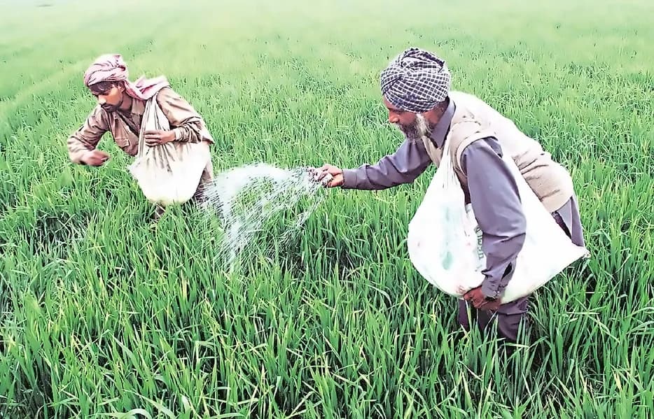 India's Global Ranking Shows Mixed Progress Despite Reform Gains
