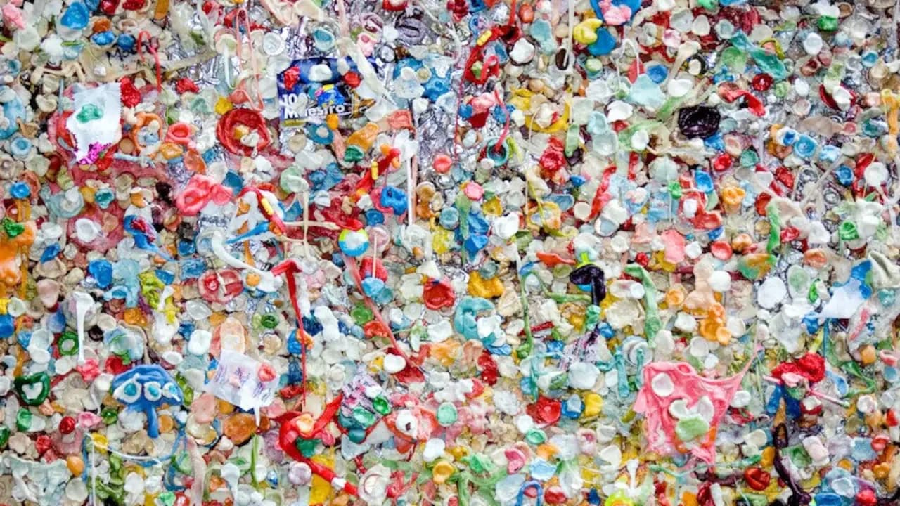 India's Plastic Recycling Market to Grow 9-11% Annually