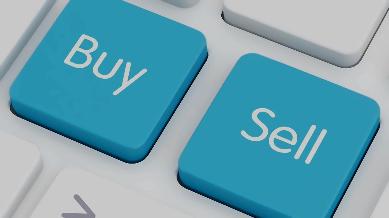 Turtlemint Fintech Surges 5% on Jefferies Buy Rating, ₹190 Target
