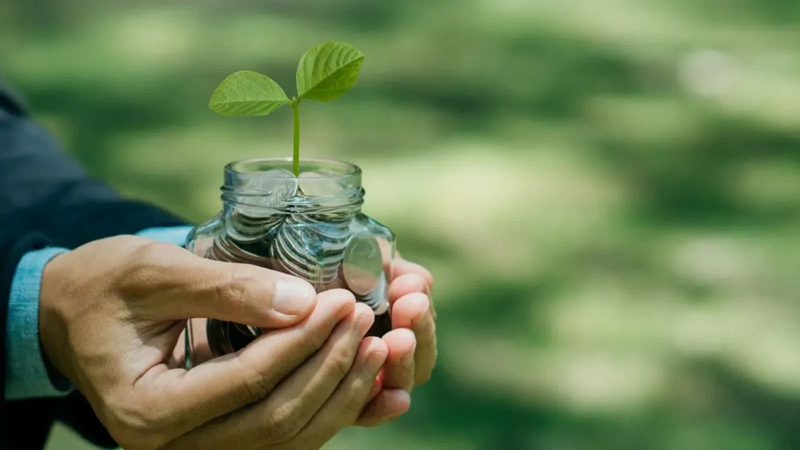 KVP, NSC Interest Taxable: Reporting Rules for ITR