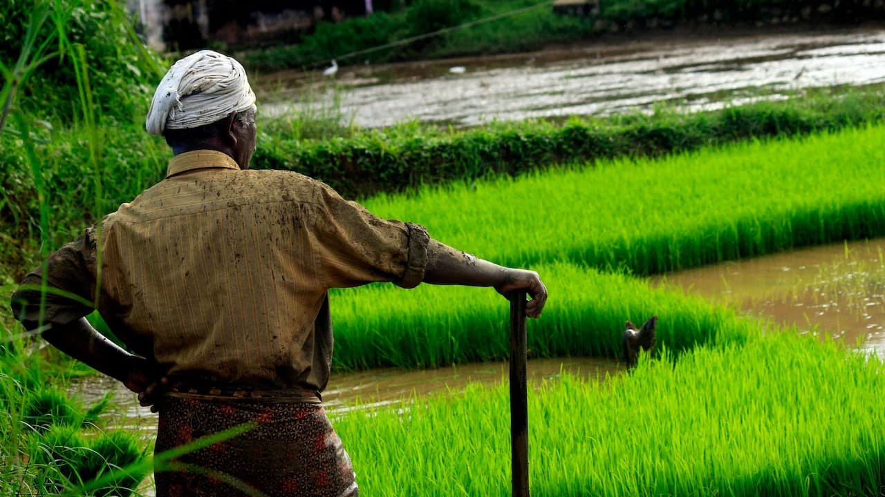 Maharashtra approves ₹36,500-cr farm loan waiver amid Ladki Bahin scandal