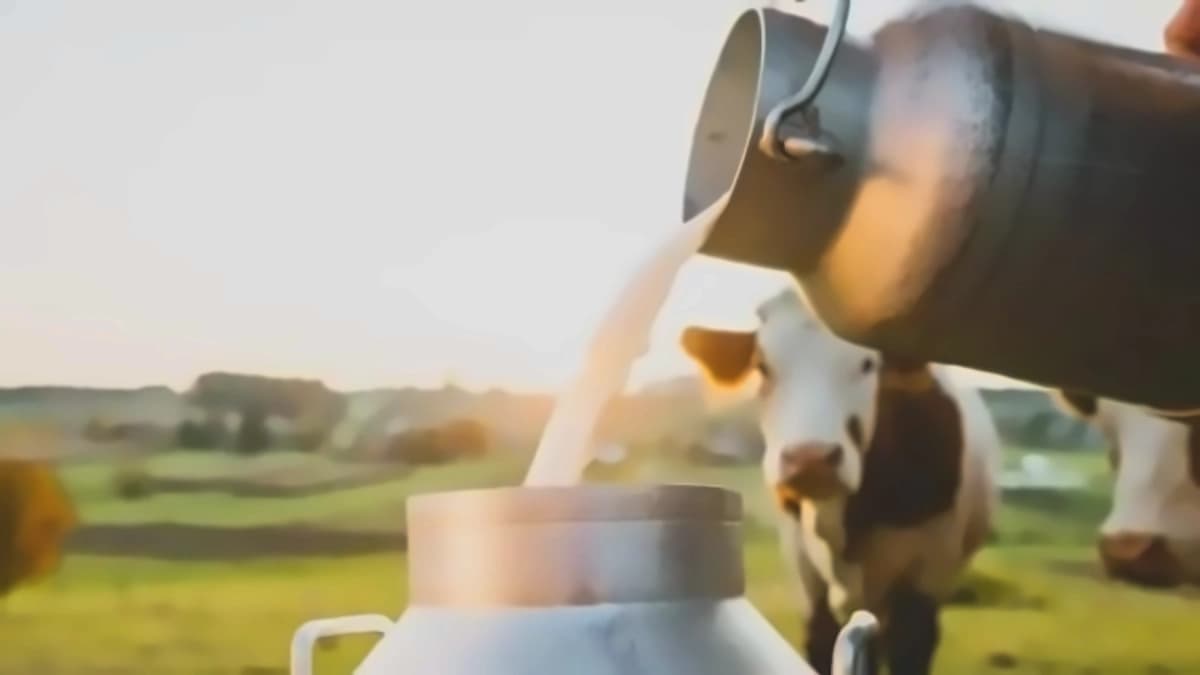 Maharashtra Milk Prices Rise ₹2/Litre as Dairy Drinks Market Surges