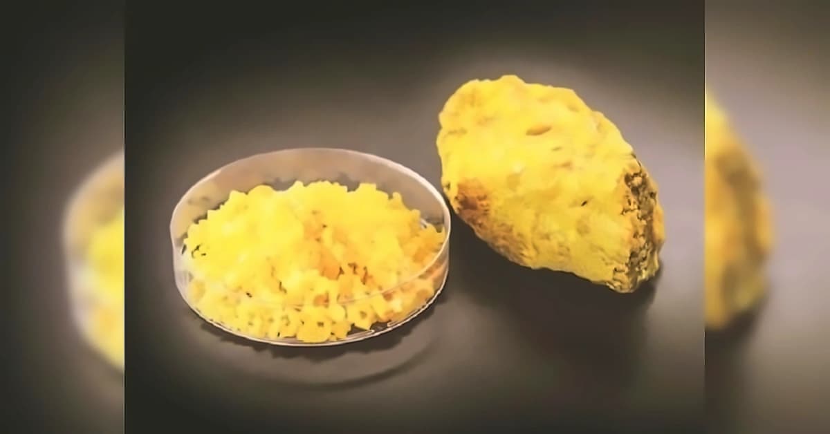 Meghalaya Assembly Bans Uranium Mining Operations