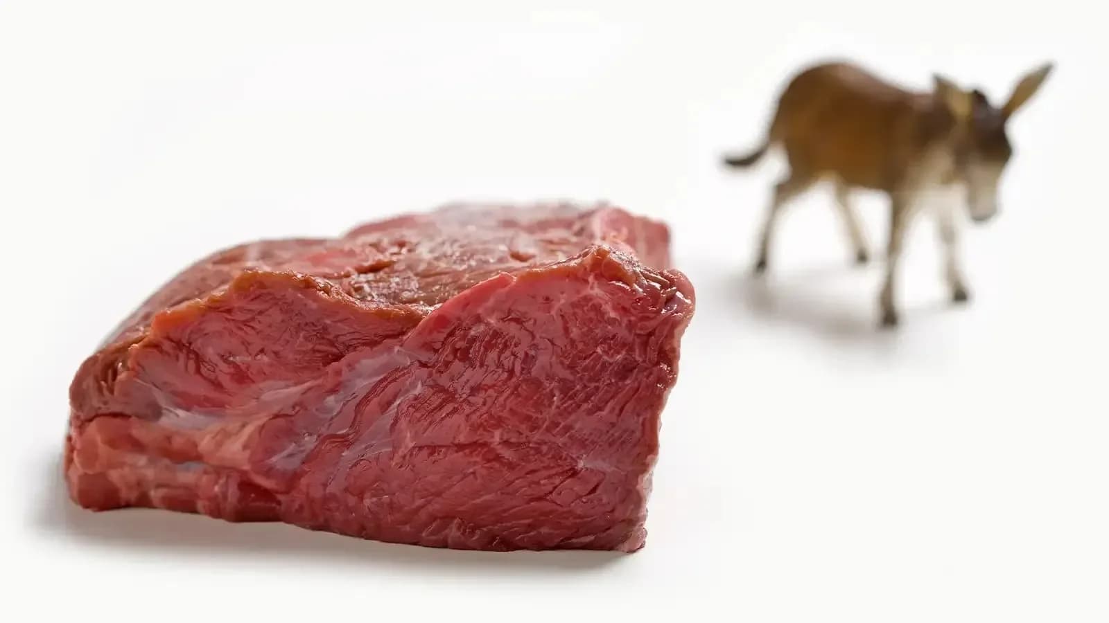Pakistan boosts donkey meat exports to China amid rising demand