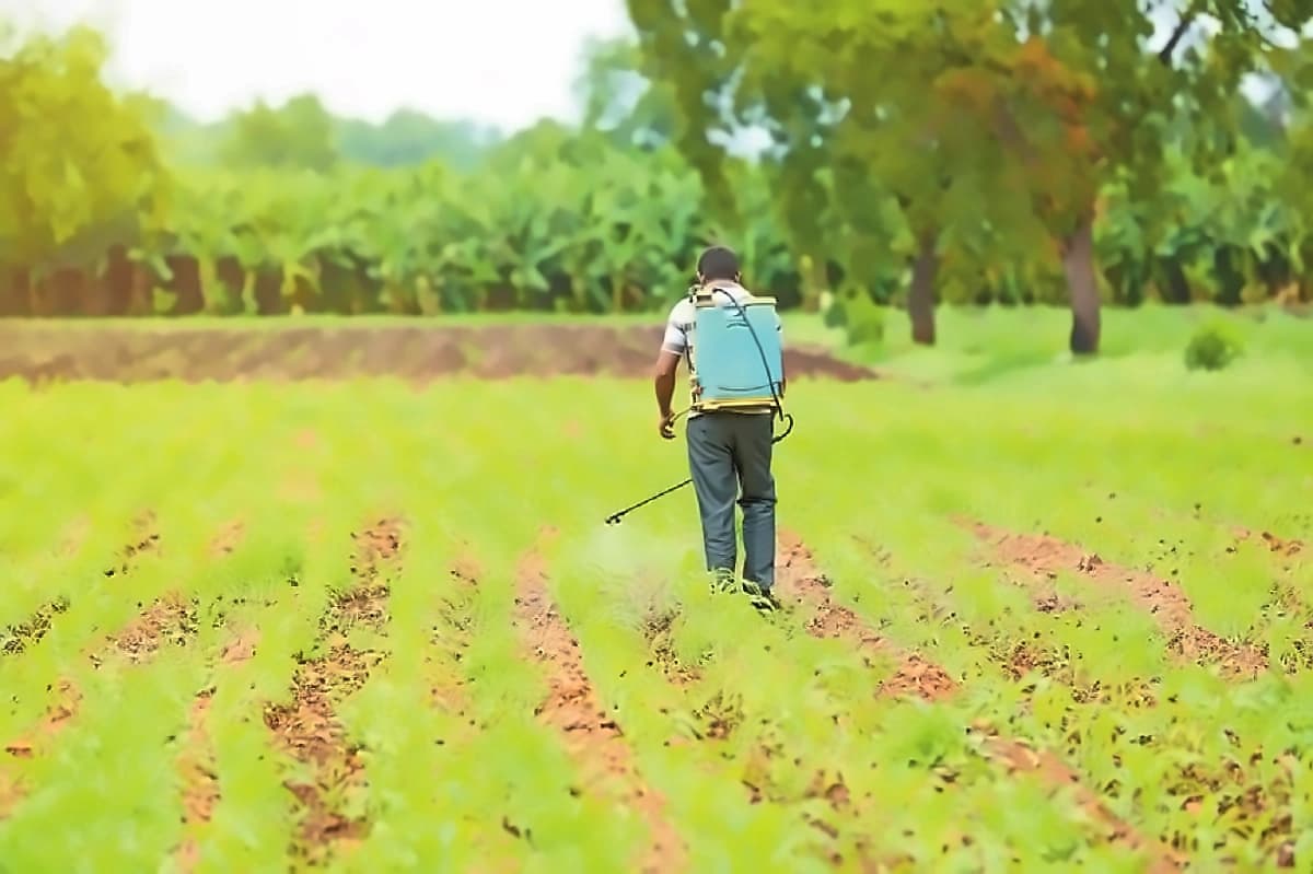 Pesticide Industry Demands Online Sales Regulation