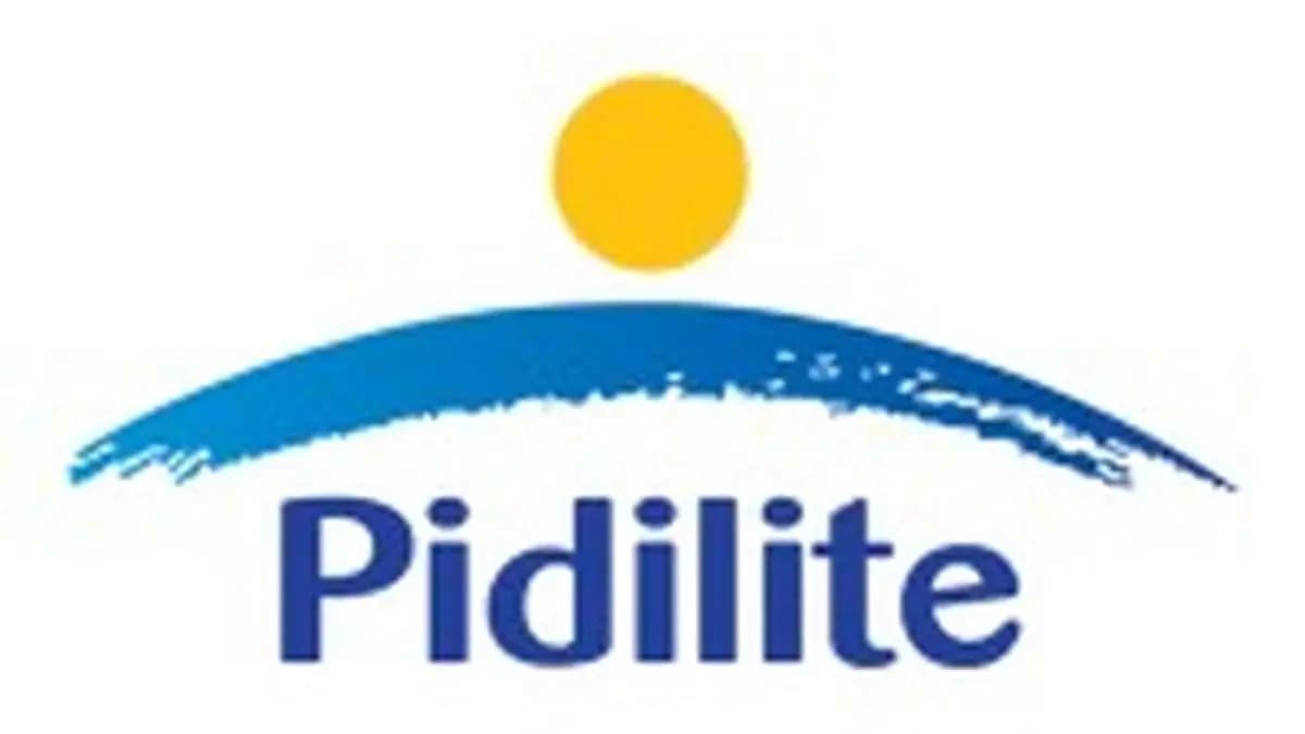 Pidilite shares surge 3.5% on strong Q4 earnings beat