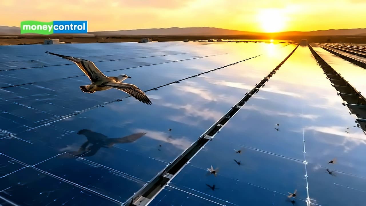 SEBI Approves Cosmic PV Power's ₹640 Cr IPO Plans