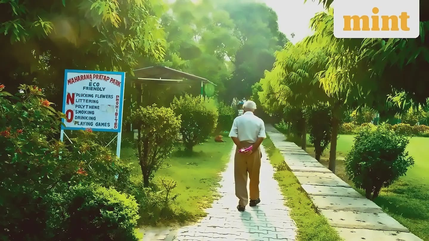 Senior citizen FD rates hit 8.30% in May 2026