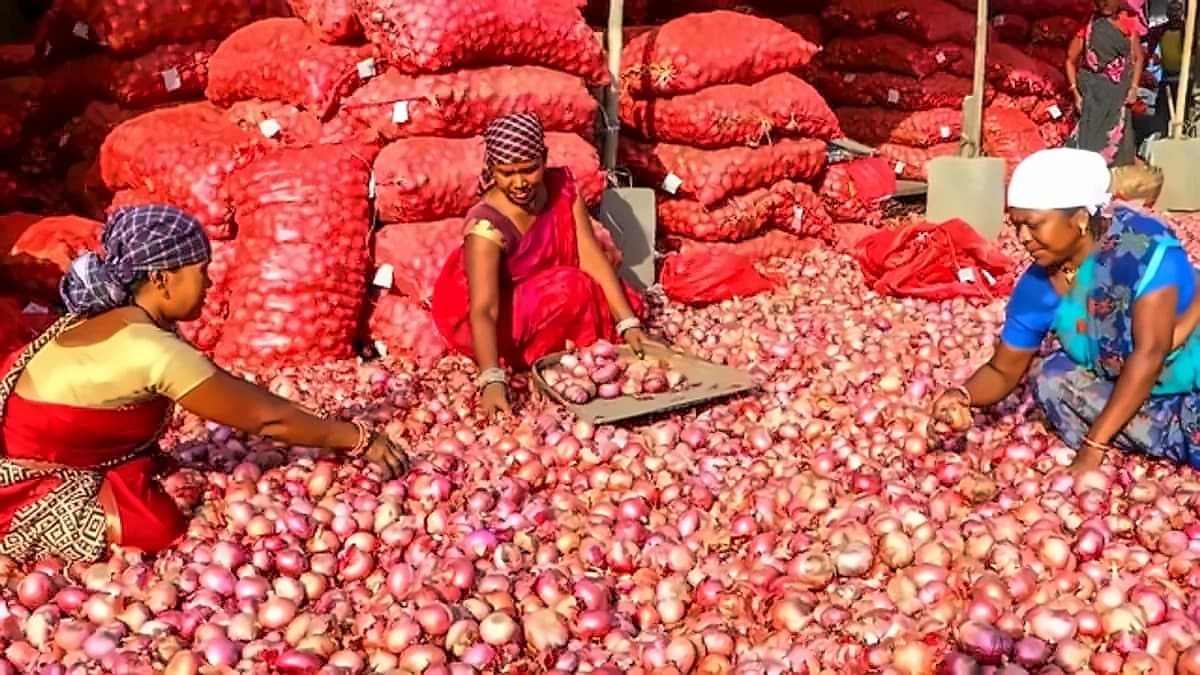 Tarmat Q1 FY27 net profit surges 121.74% to ₹1.53 crore