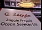Zaggle shares crash 19% despite strong Q4 growth