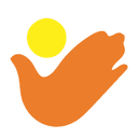 Akums Drugs & Pharma logo