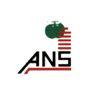 ANS Industries logo