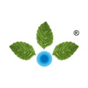 Anupam Rasayan logo