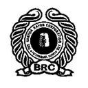 Baroda Rayon logo
