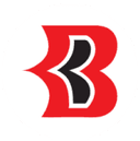 Beekay Steel Indus logo