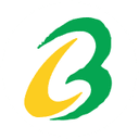 Brace Port Logistics logo