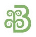 Brijlaxmi Leasing & Finance logo