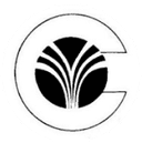 Clio Infotech logo