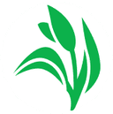 Dhunseri Tea & Industries logo