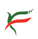 First Fintec logo