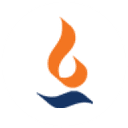 Max Financial Services logo