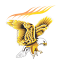 NSB BPO Solutions logo