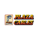 Plaza Wires logo