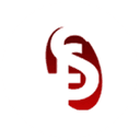 Rajvi Logitrade logo