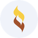 Sarda Energy & Minerals logo