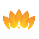 Shahlon Silk Industries logo
