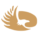 Silver Oak India logo