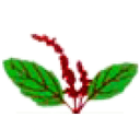 Tulasee Bio-Ethanol logo