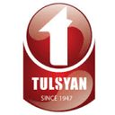 Tulsyan NEC logo