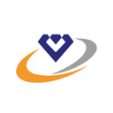 Vaibhav Global logo