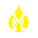 Vijay Solvex logo