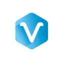 Virgo Global logo