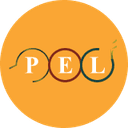 Women Networks logo